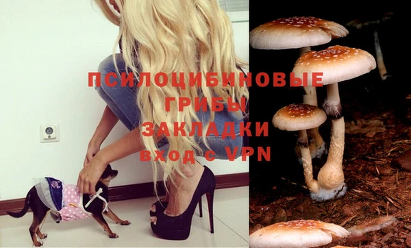 гашиш Арсеньев