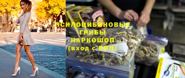 винт Армянск