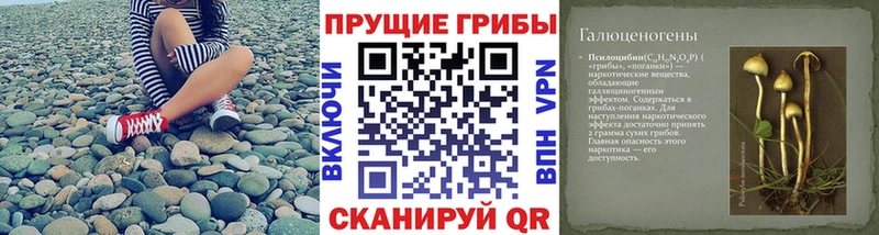 Псилоцибиновые грибы Psilocybe Спас-Деменск